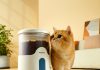 Panasonic bringt smarte Pet Care-Produkte