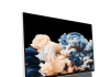 Neuer tragbarer Smart-TV von Metz blue