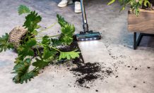 hoogo feiert 5-jähriges Jubiläum